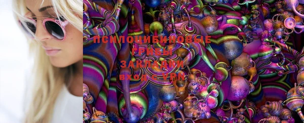 меф Няндома