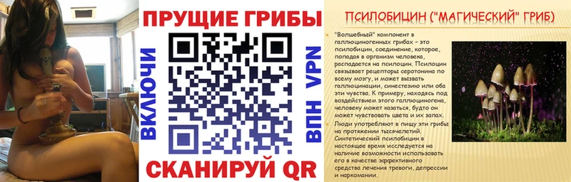 Псилоцибиновые грибы прущие грибы ссылка на мегу ССЫЛКА Райчихинск